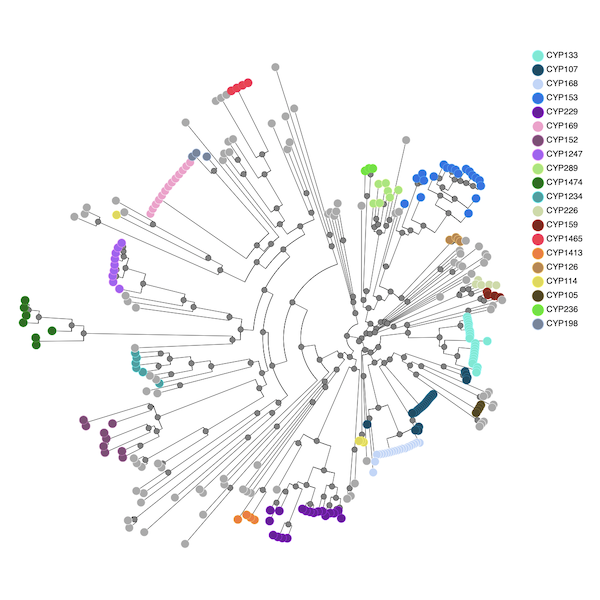 ../_images/gamma_phylo_tree.png